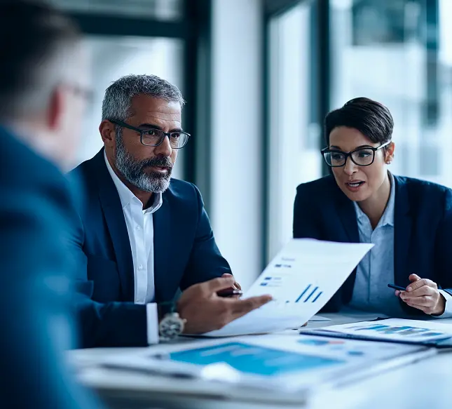 Polestar advisors guiding a UAE business client